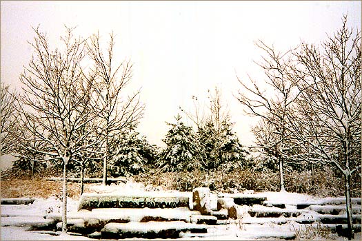CLICK FOR NEXT PHOTOGRAPH